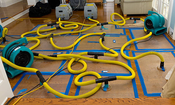Professional Water Extraction technician working in Worthington, KY